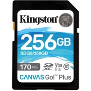 Флеш (Flash) карты Kingston Canvas Go! Plus SDG3/256GB (256 ГБ)